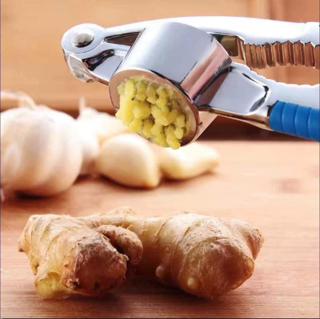 Heavy Duty Stainless Steel Garlic Press Manual Mincer Tool for Kitchen Use